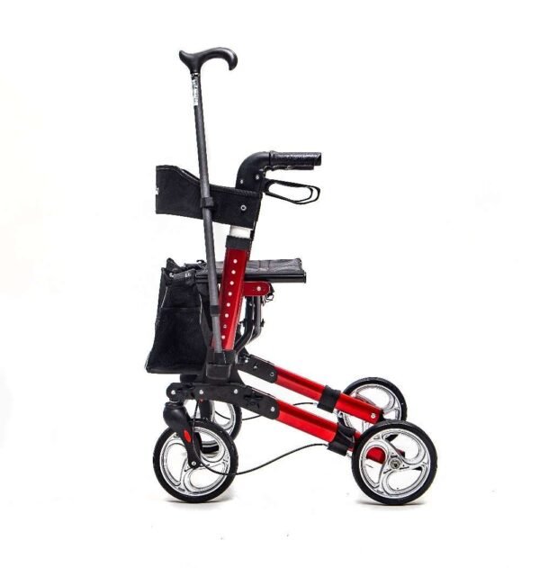 LAUKO VAIKŠTYNĖ SU 4 RATUKAIS FARGO - Image 2