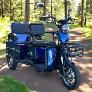 Elektrinis triratis motoroleris SL-01